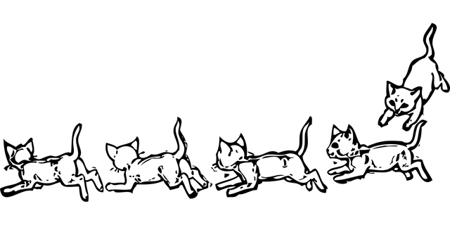 2017-05-12_0019.jpg